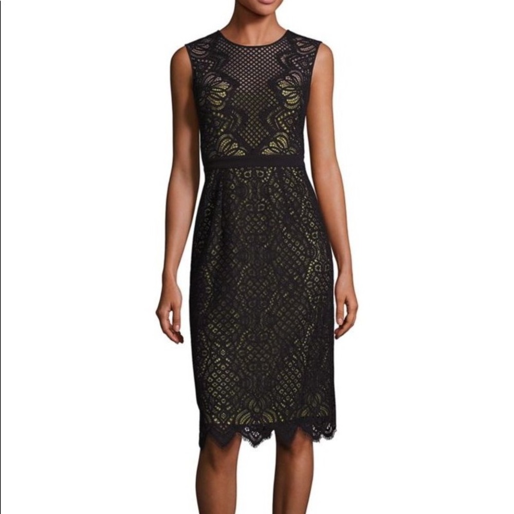 NWT Susannah BCBG Dress